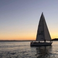 harbour 2